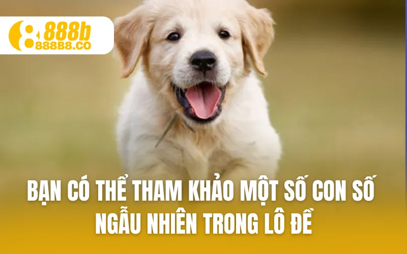 Bạn có thể tham khảo một số con số ngẫu nhiên trong lô đề