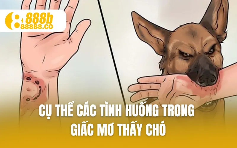 Cụ thể các tình huống trong giấc mơ thấy chó