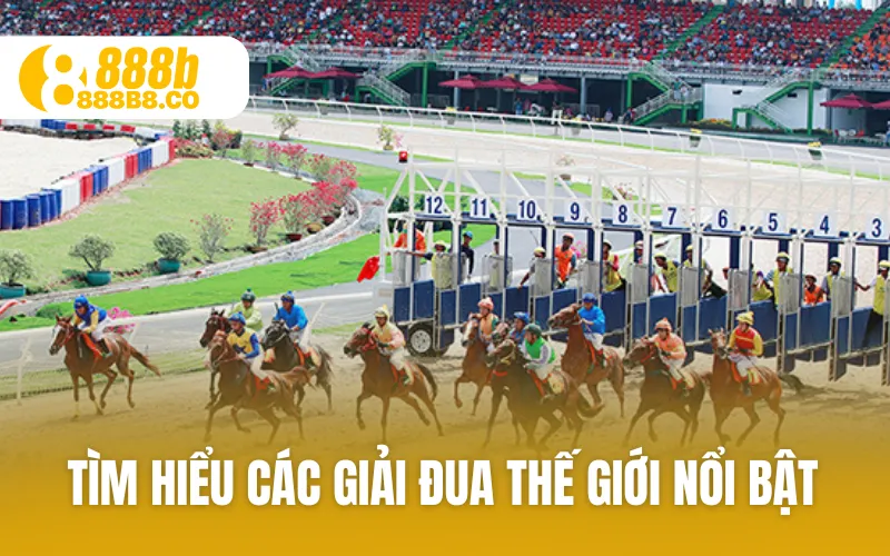 Tìm hiểu các giải đua thế giới nổi bật