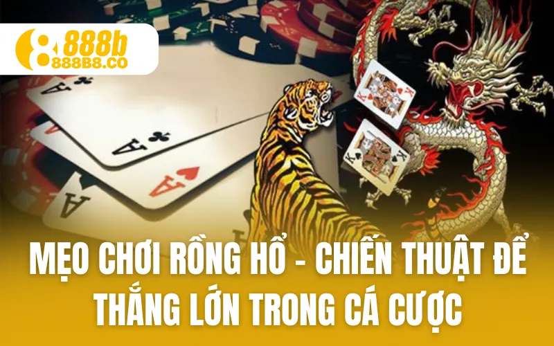 Mẹo Chơi Rồng Hổ - Chiến Thuật Để Thắng Lớn Trong Cá Cược