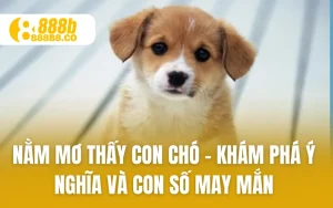 Nằm Mơ Thấy Con Chó – Khám Phá Ý Nghĩa Và Con Số May Mắn