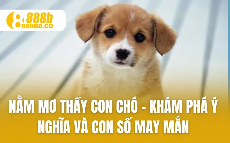 Nằm Mơ Thấy Con Chó – Khám Phá Ý Nghĩa Và Con Số May Mắn